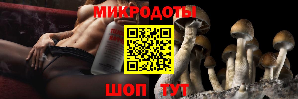 Галлюциногенные грибы мухоморы Астрахань